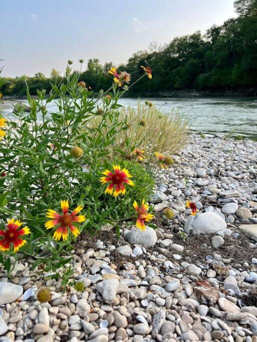 The River Haven - Sleeps 32 - On Guadalupe River Seguin Exterior photo